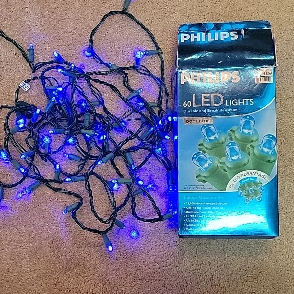 PHILIPS 60 LED Indoor/Outdoor Light Set - Dome Blue
